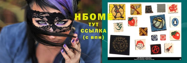 амф Дмитриев