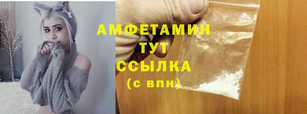 амф Дмитриев