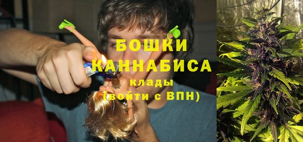 амф Дмитриев