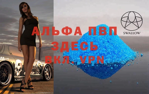амф Дмитриев