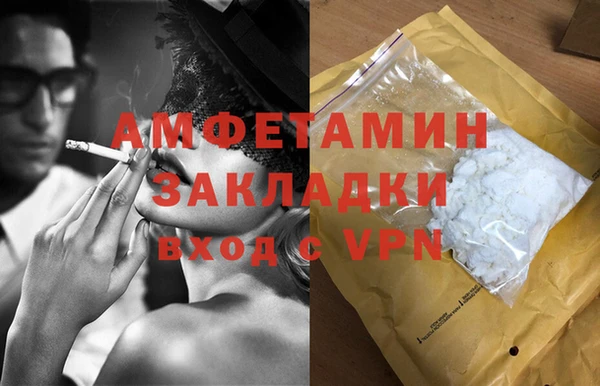 амф Дмитриев