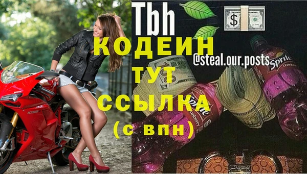 мяу мяу мука Гусиноозёрск