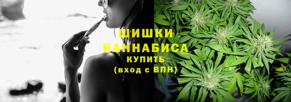 амф Дмитриев