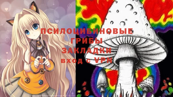 гидропоника Дмитровск