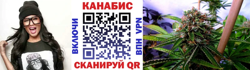 закладка  Рубцовск  Конопля планчик 